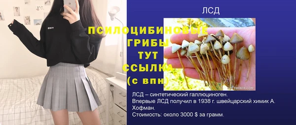дурь Нефтекумск