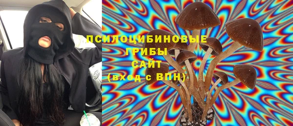 PSILOCYBIN Нефтегорск