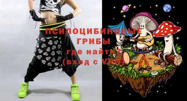 PSILOCYBIN Нефтегорск