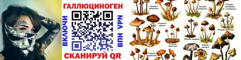 кракен ONION  Сысерть  Псилоцибиновые грибы Psilocybe  продажа наркотиков 